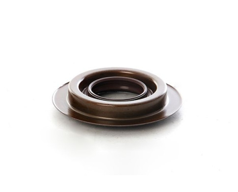 Seal, differential