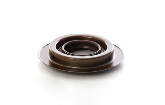 Seal, differential