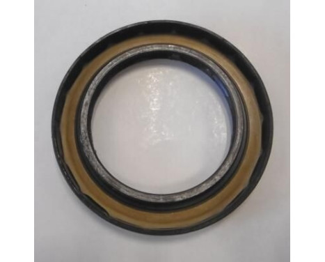 Seal, differential, Image 2