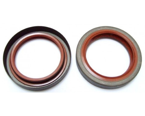 Seal Ring 006.564 Elring