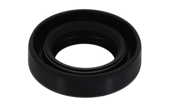 Shaft Seal, differential NA5204 Payen