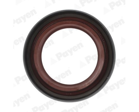Shaft Seal, differential NA5205 Payen, Image 2