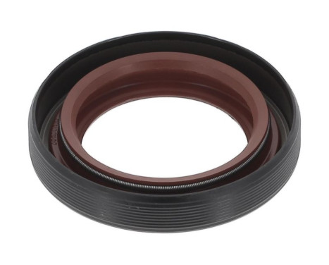 Shaft Seal, differential NA5205 Payen