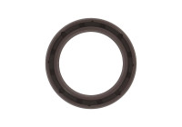 Shaft Seal, differential NC048 Payen