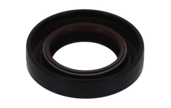 Shaft Seal, differential NF825 Payen