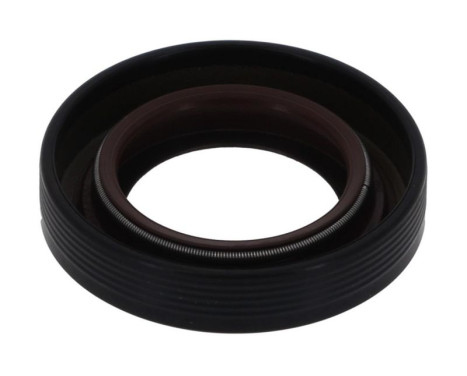Shaft Seal, differential NF825 Payen