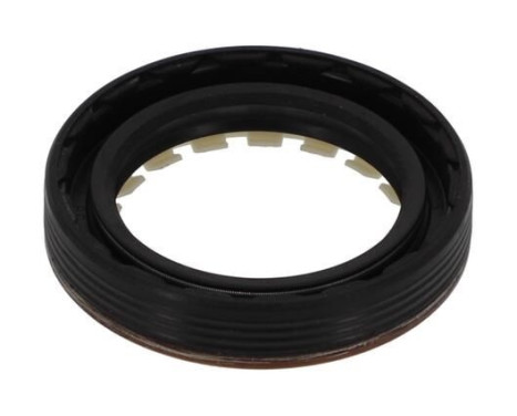 Shaft Seal, differential NF836 Payen, Image 2