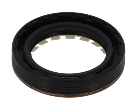 Shaft Seal, differential NF836 Payen, Image 2