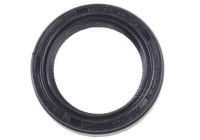 Shaft Seal, differential NK117 Payen