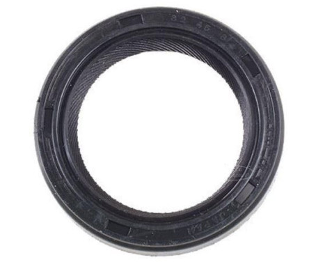 Shaft Seal, differential NK117 Payen