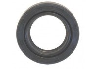 Shaft Seal, differential