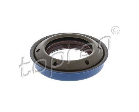 Shaft Seal, differential
