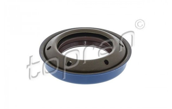 Shaft Seal, differential