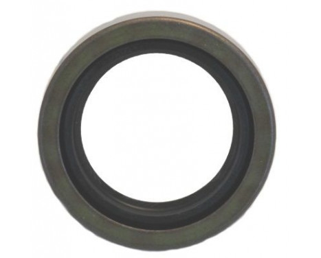 Shaft Seal, differential