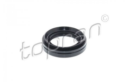 Shaft Seal, differential