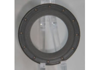 Shaft Seal, differential