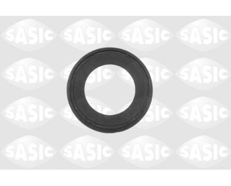 Shaft Seal, differential