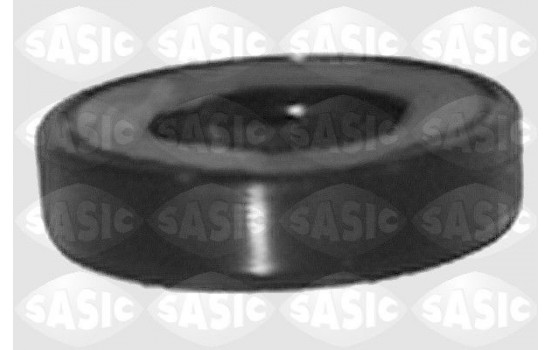 Shaft Seal, differential