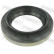Shaft Seal, differential