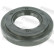 Shaft Seal, differential