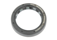 Shaft Seal, differential