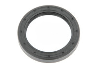 Shaft Seal, differential