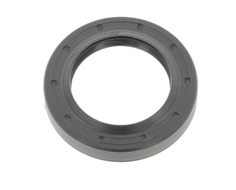 Shaft Seal, differential