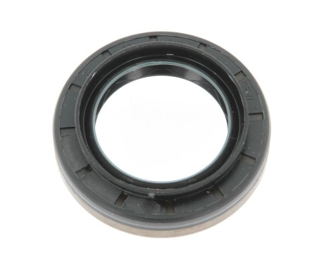 Shaft Seal, differential