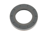 Shaft Seal, differential