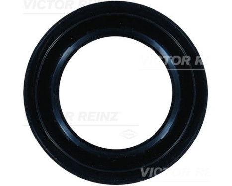 Shaft Seal, differential