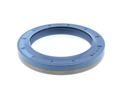 Shaft Seal, differential