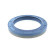 Shaft Seal, differential