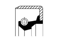 Shaft Seal, differential