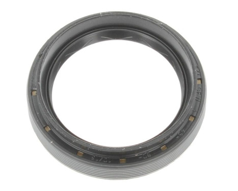 Shaft Seal, differential
