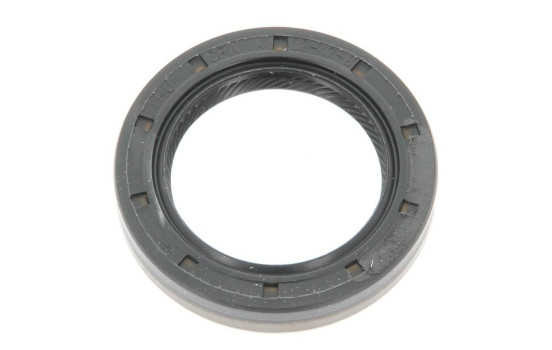 Shaft Seal, differential