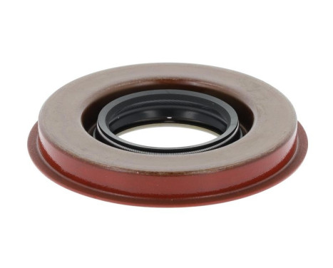 Shaft Seal, differential