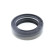 Shaft Seal, differential
