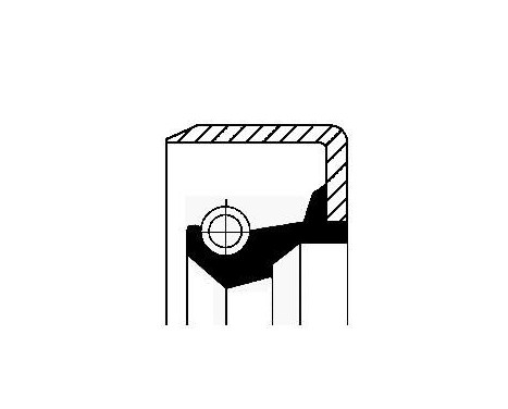 Shaft Seal, differential