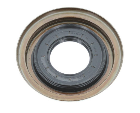 Shaft Seal, differential