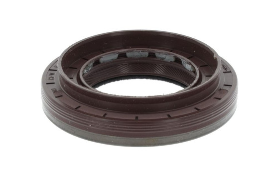 Shaft Seal, differential