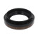 Shaft Seal, differential