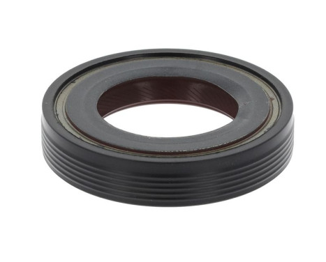 Shaft Seal, differential
