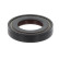 Shaft Seal, differential