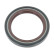 Shaft Seal, differential