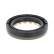 Shaft Seal, differential