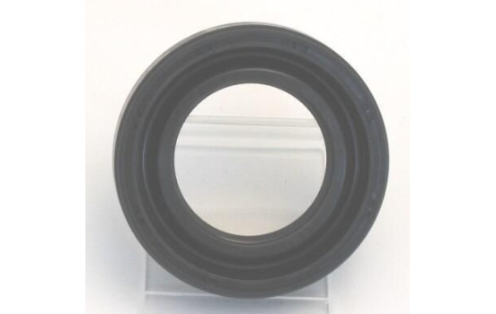 Shaft Seal, differential