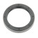 Shaft Seal, differential