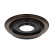 Shaft Seal, differential