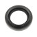 Shaft Seal, differential