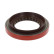 Shaft Seal, differential